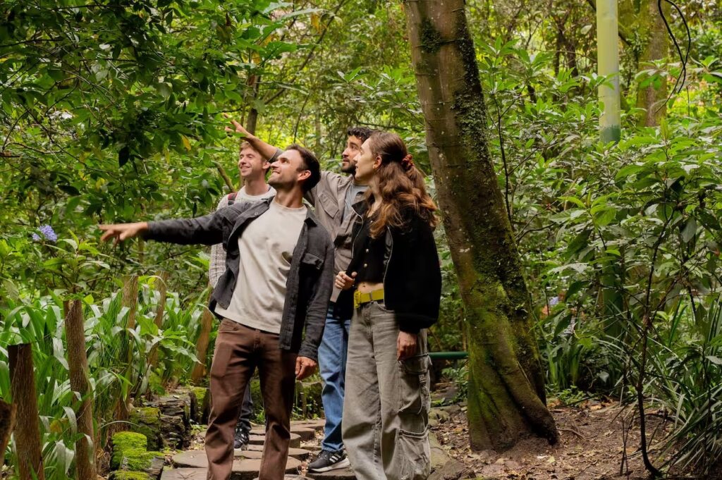 Hidden Nature Walk & Lunch in Zona G